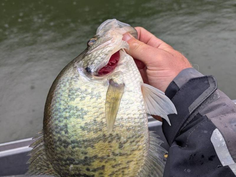 PXL_20250403_135604576.MP_