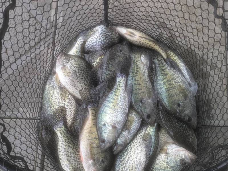 PXL_20250403_154511299