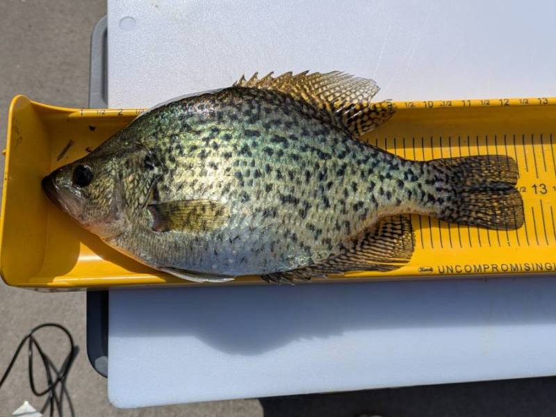 PXL_20250411_204927432