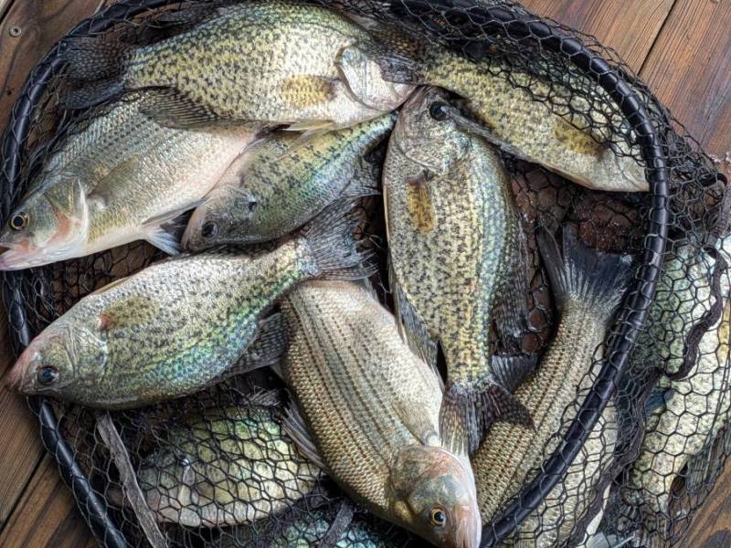 PXL_20250523_171714902.PORTRAIT.ORIGINAL