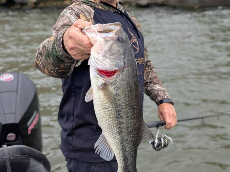 PXL_20250528_123334673.PORTRAIT