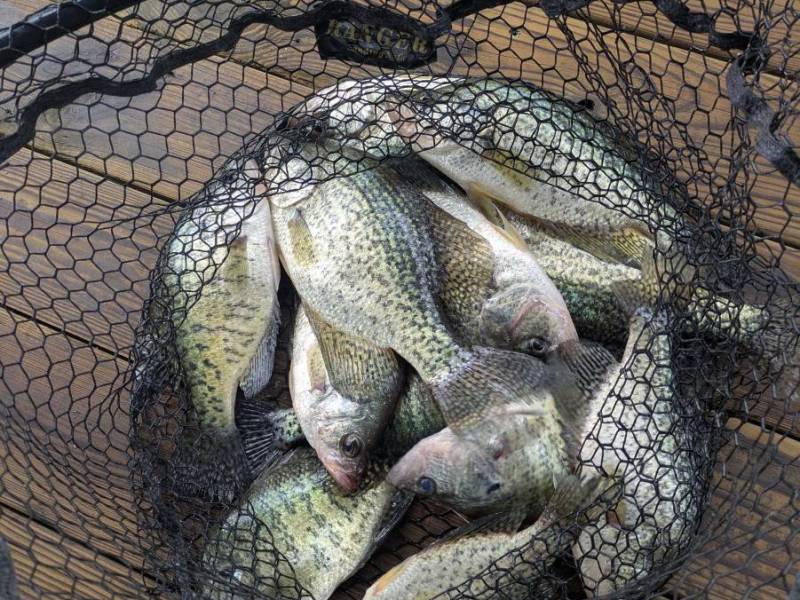 PXL_20250603_154919490.MP_