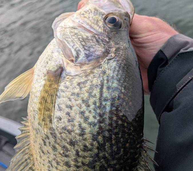 PXL_20260225_205228051.MP_