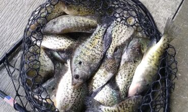 Lake of the Ozarks Crappie Fishing Report – March 23, 2026: Target Shallow Brush & Docks