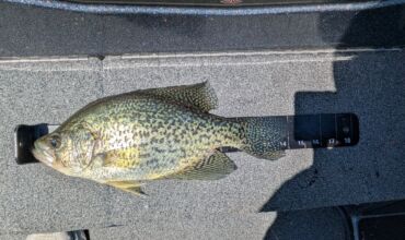 Lake of the Ozarks Fishing Report – Warming Water & Rising Lake Level